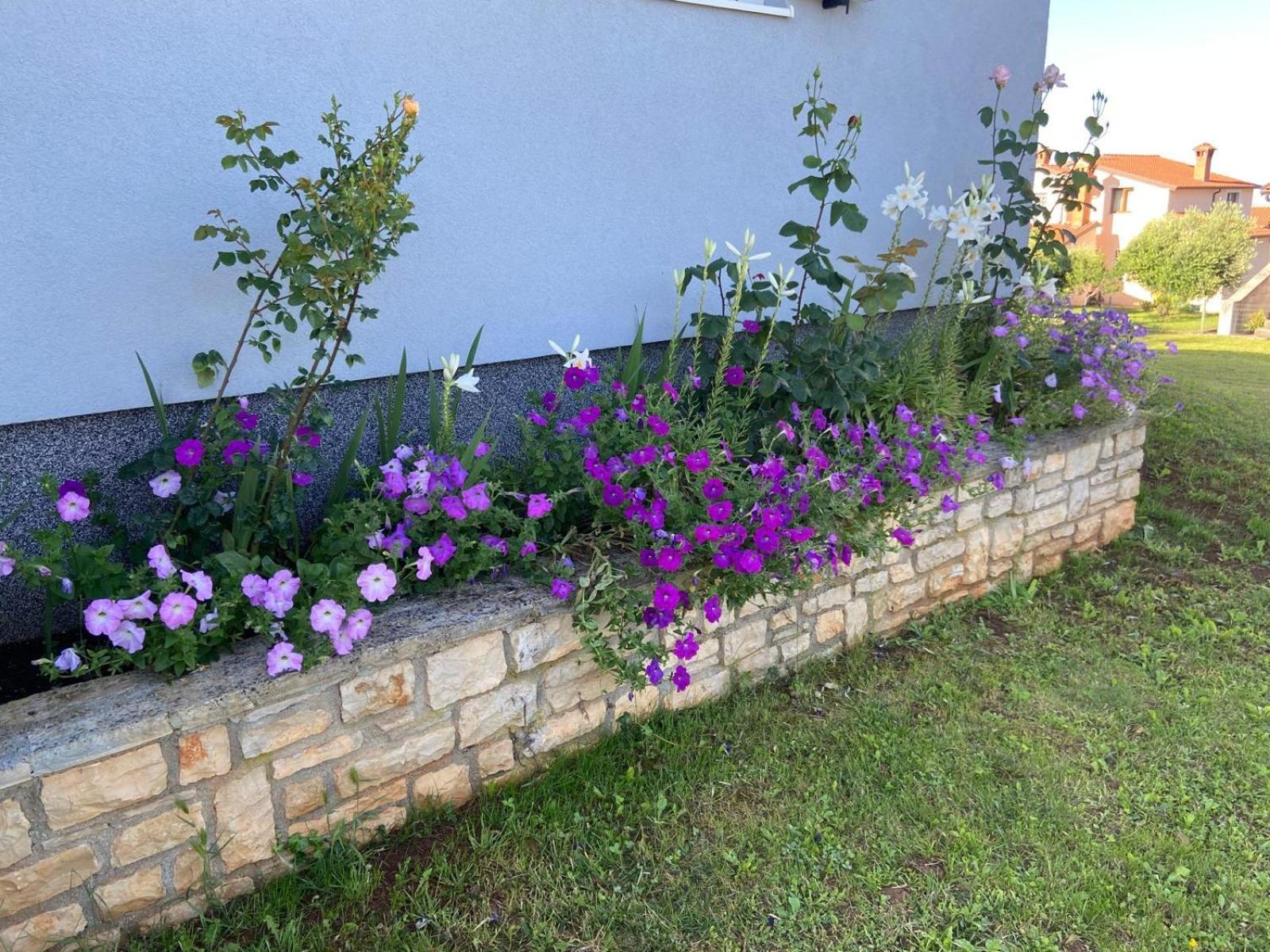 Holiday Home Mihaela Višnjan Esterno foto